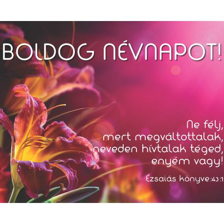 Boldog Névnapot