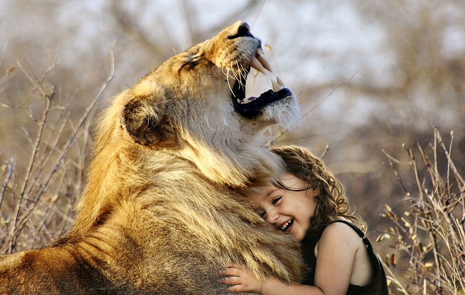Kislány és oroszlán